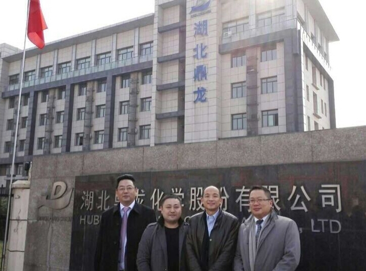 湖北鼎龍領導與和承信息領導合影留念