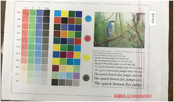 柯尼卡美能達復印機C210打印有紅色線效果圖-科頤辦公 柯尼卡美能達復印機C210打印有紅色線效果圖-科頤辦公